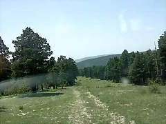2021-06-14_13-39-22