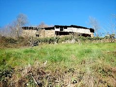 DSCN3919