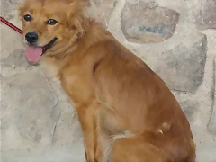 claudia1 claudia1