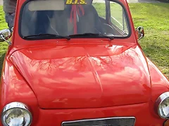 Mas de mi fito
