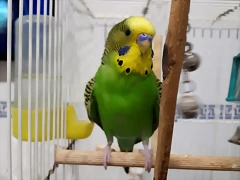 20190719_234856 20190719_234856