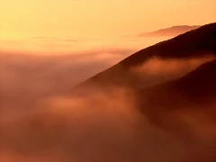 Fog, Coastal Hills of Mendocino County, California Fog, Coastal Hills of Mendocino County, California