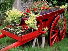 Flower Cart Flower Cart