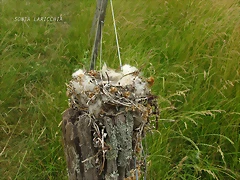 IMG_8517 IMG_8517