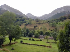 DSCN6509 DSCN6509