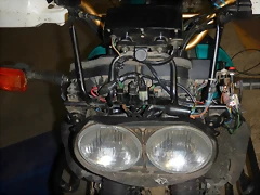 DSCN0491 DSCN0491