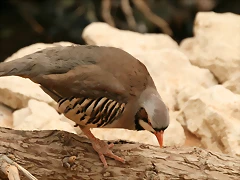 IMG_0054 IMG_0054