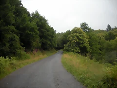DSCN4729 DSCN4729