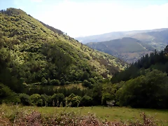DSCN1555 DSCN1555