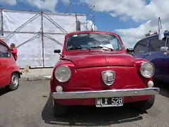 P1180703 P1180703