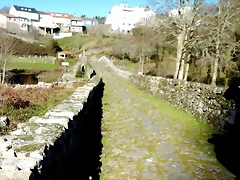 DSCN1650 DSCN1650