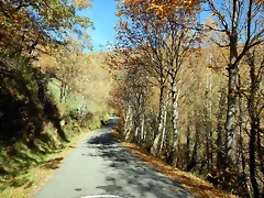 DSCN9139 DSCN9139