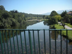 DSCN7781 DSCN7781