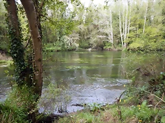 DSCN9184 DSCN9184