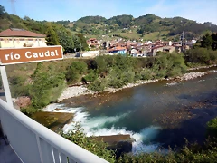 DSCN0816 DSCN0816