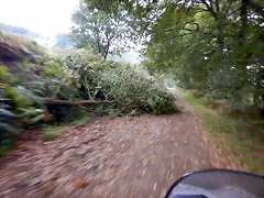 DSCN9158 DSCN9158