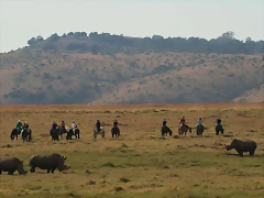 Krugersdorp Game Reserve + Johannesburg Zoo 27-05-09 089 Krugersdorp Game Reserve + Johannesburg Zoo 27-05-09 089