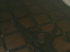 IMAG0231 IMAG0231
