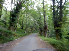 DSCN5223 DSCN5223