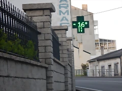 DSCN2161 DSCN2161