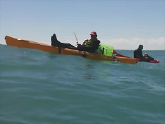 100_0080 100_0080