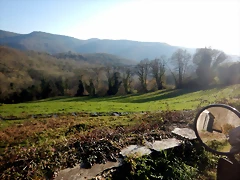 DSCN2962 DSCN2962