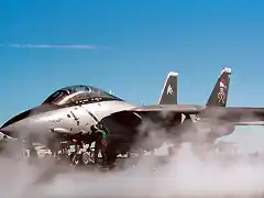 F-14D_Tomcat_VF-103_dubbed_Christmas_Bird