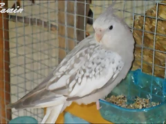 SAM_08440