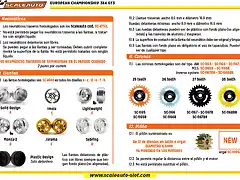Regolamento-ES-CE-Scaleauto-GT3-3x4-10