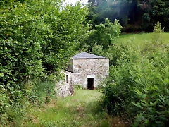 DSCN4534 DSCN4534