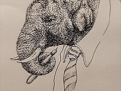 elefante con estilografica