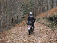 IMG_3578 IMG_3578
