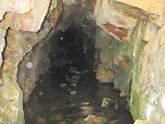 IMG_3589 IMG_3589