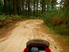 DSCN6313 DSCN6313