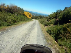 DSCN2174 DSCN2174