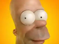 the-real-face-of-the-homer-simpson