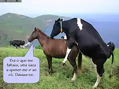 vaca-cavalo