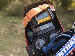IMG_1795 IMG_1795