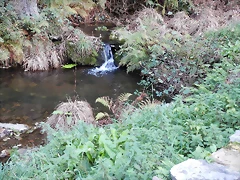DSCN9640 DSCN9640
