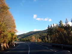DSCN0807