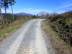 14-IMG_5216