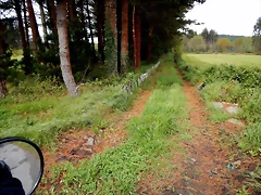 DSCN9211 DSCN9211