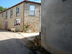 DSCN9155 DSCN9155