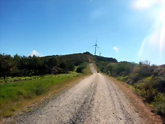 DSCN2163 DSCN2163