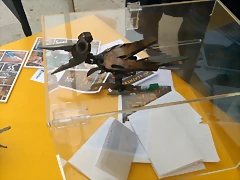 IMG_20180530_180442