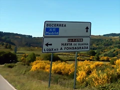 DSCN0949
