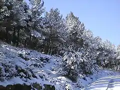 Nieve a punta pala