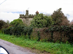 01-IMG_4905 01-IMG_4905
