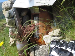 IMG_2713 IMG_2713