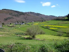 DSCN0269 DSCN0269